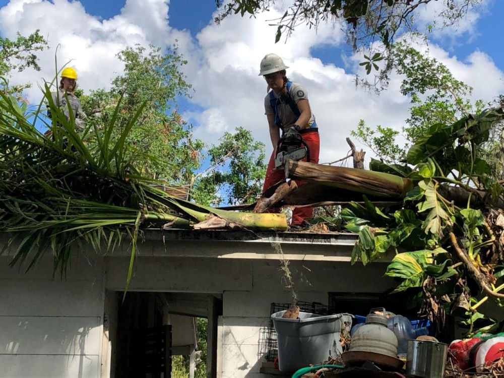 A WCC supervisor stands on a rooftop while using a chainsaw to cut through a fallen palm tree.