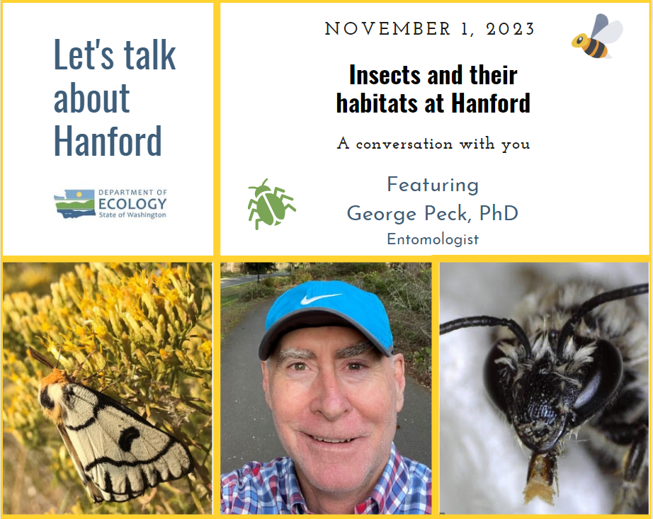 graphic with photo of man and two insects reads Nov. 1, 2023, Insects and their habitats at Hanford, a conversation with you.