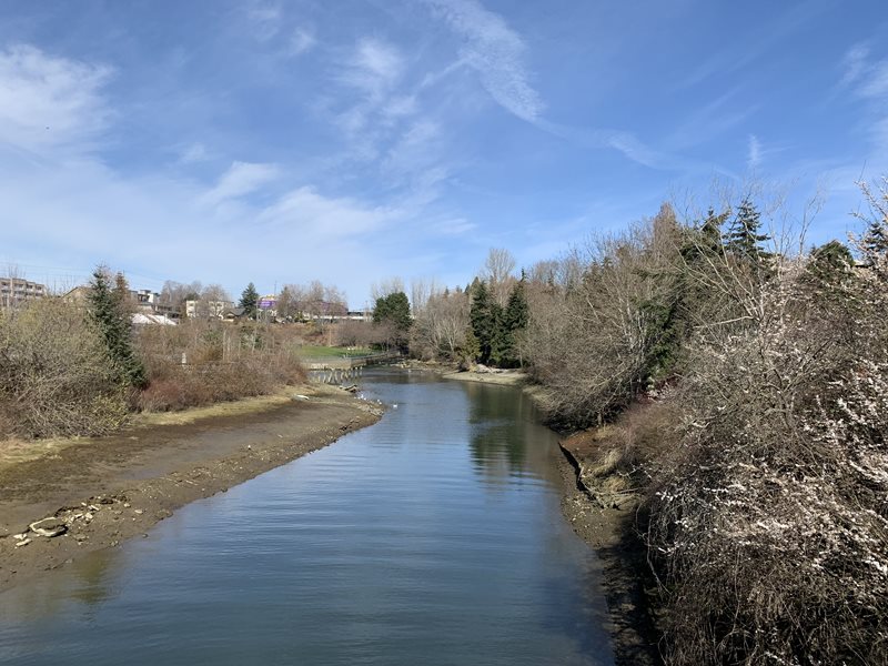 River reflecting blue sky, with foliage and evergreens on the right and a small sandy, muddy area on the left and a town in the background