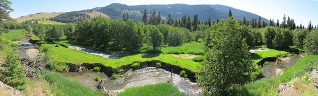 Panorama of Triple Creek.  Eroded banks, wetlands, and forested areas.