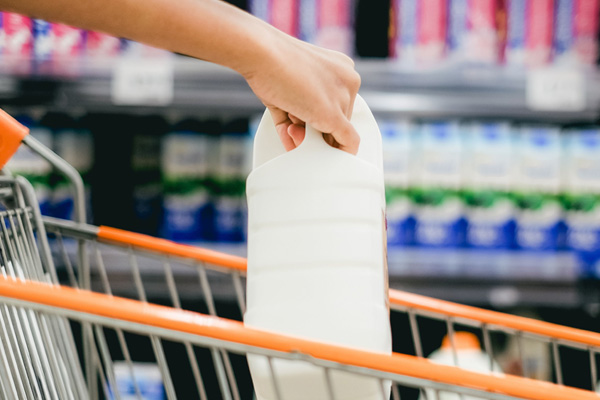 A person places a plastic jug full of milk into a grocery shopping cart.