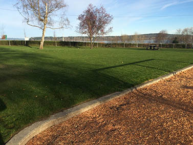 Green grass, trees, and a bark-covered path.