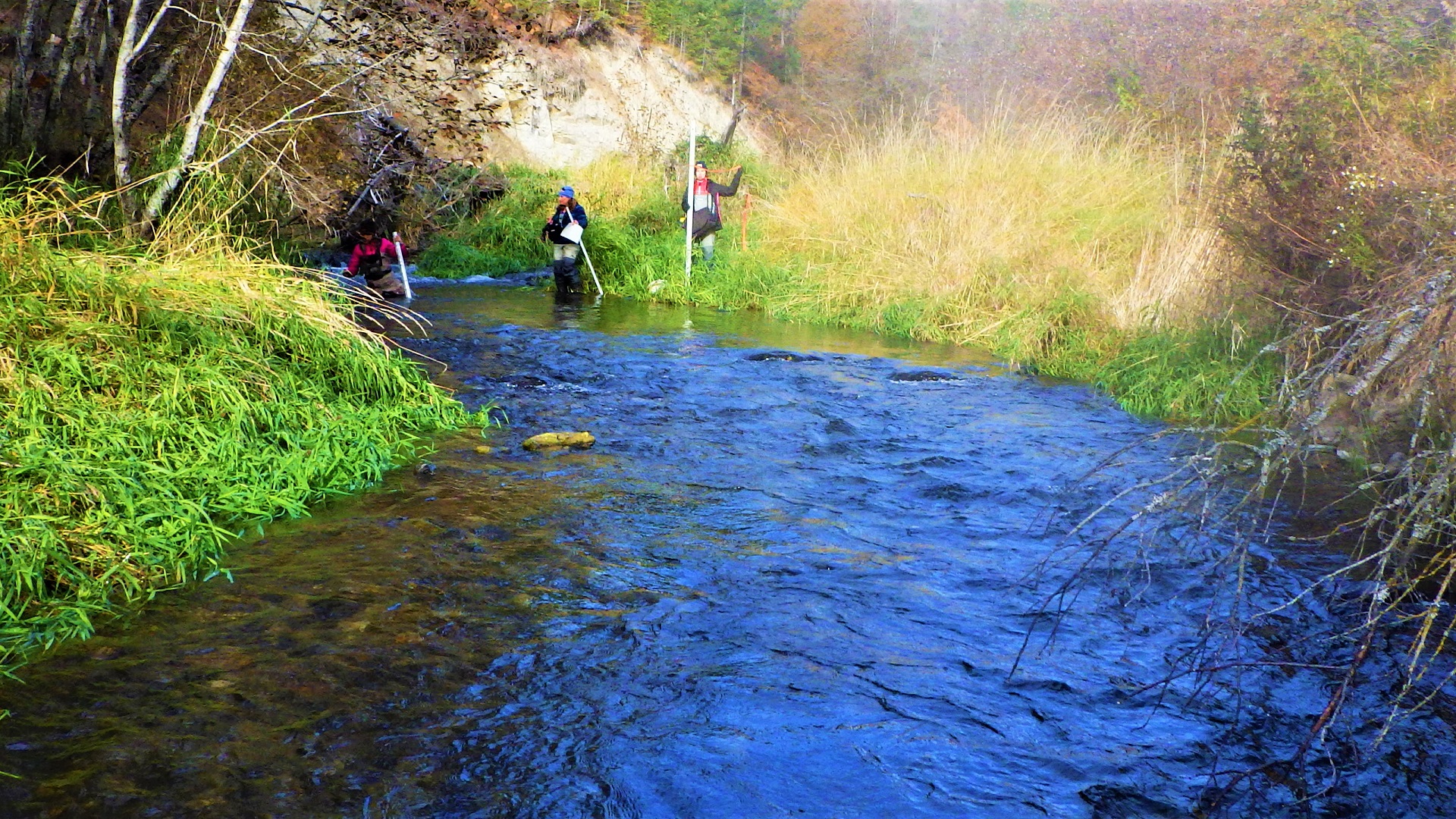 Crewmembers with stadia rods at a pristine River.