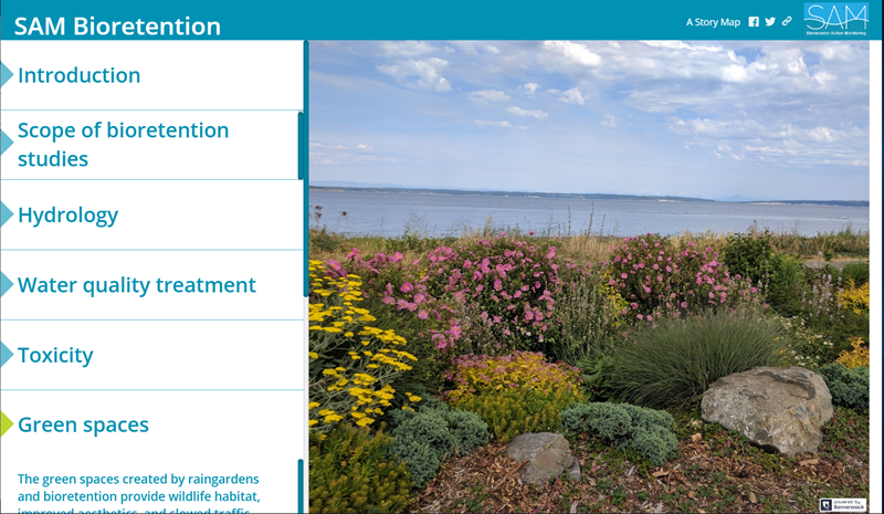 screenshot of the navigation within the storymap. Categories: Introduction, Scope of Bioretention studies,Hydrology,Water quality treatment,Toxicity, Green spaces 
