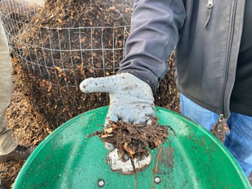 A gloved hand grabbing a handful of compost.