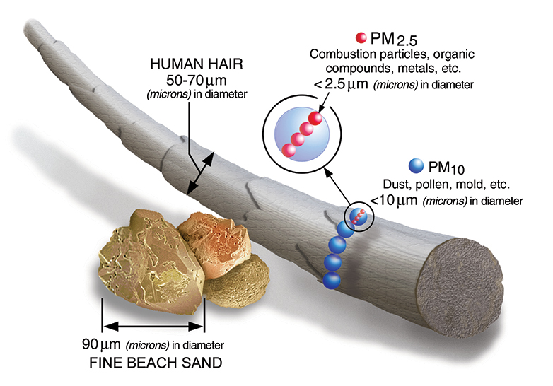 Diameter of human hair compared to fine beach sand, PM10, and PM2.5.