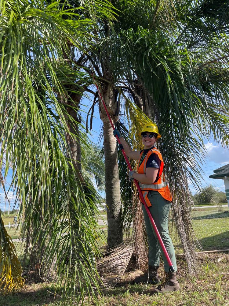 A WCC member holds a long saw while cutting down a branch from a palm tree.