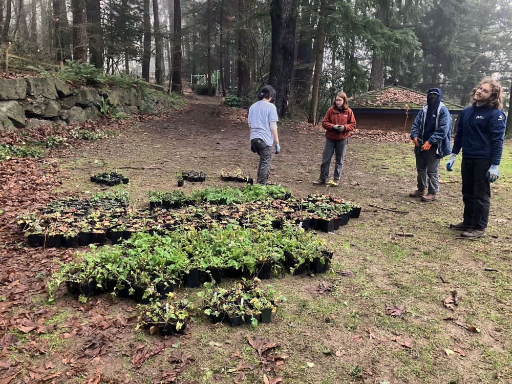 Boots on the ground: WCC joins new Washington Climate Corps Network -  Washington State Department of Ecology