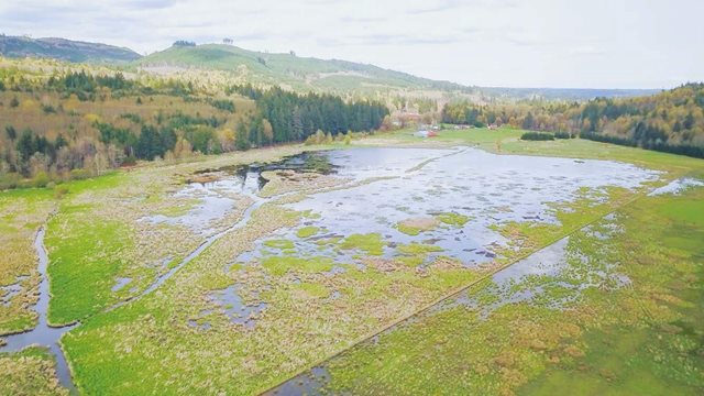 Aerial view of Skookum Valley with standing water in wetlands and leaves on trees changing to fall colors.