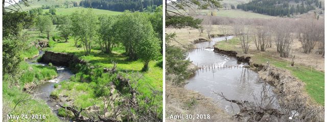 Before and after photos from May 24, 2016 and April 30, 2018 shows changes in the creek pre and post restoration project.  