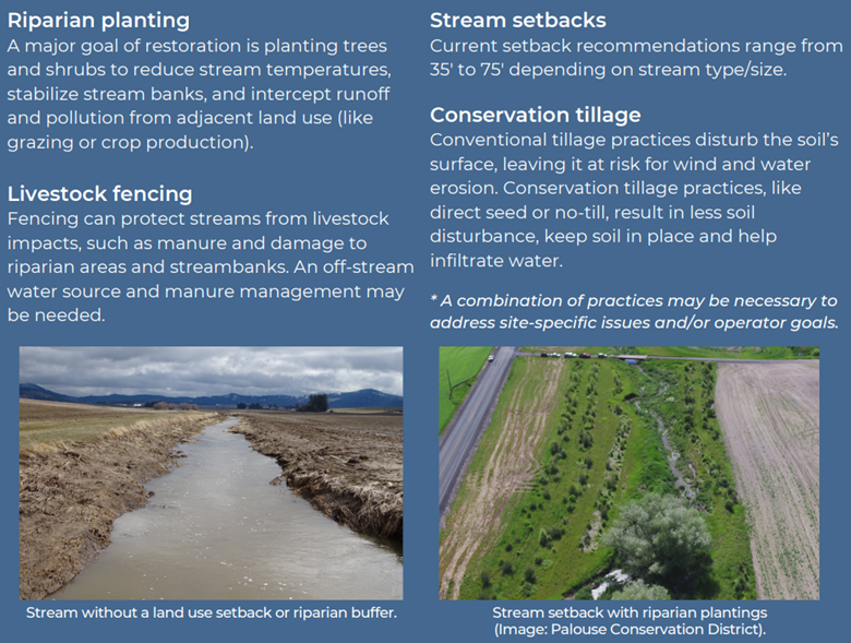 Summary of the pilot program with an image of a washed out creek and an aerial of riparian vegetation