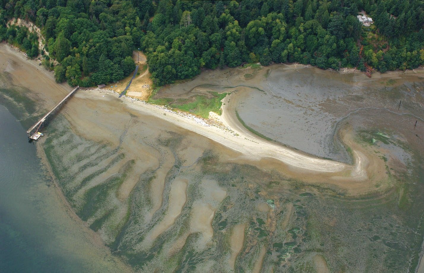 Aerial view of coastal habitat with a long pier going out over the water's edge. 