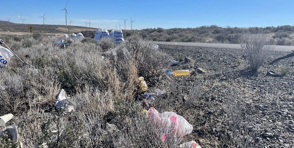 The side a highway that is full of littered items