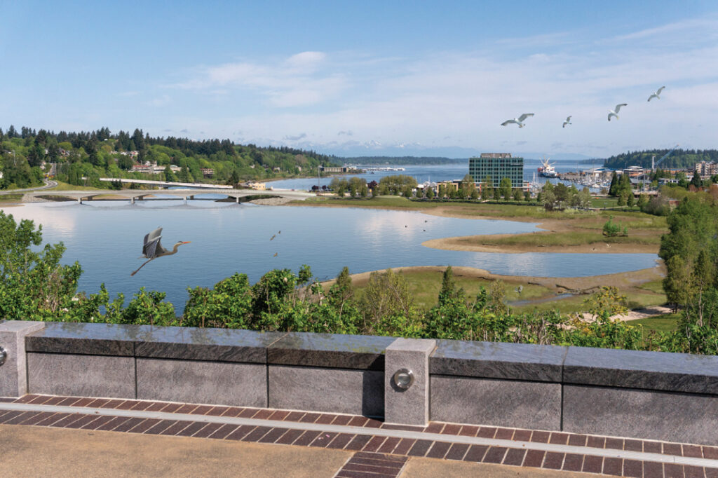 A rendering of the completed Deschutes Estuary, with seabirds soaring above and the completed 5th Avenue bridge in the distance